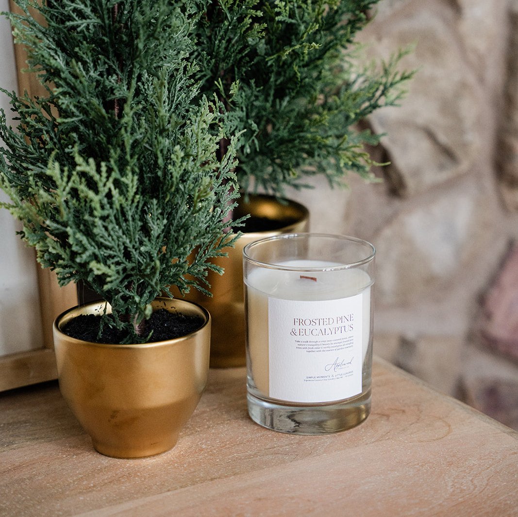 FROSTED PINE &amp; EUCALYPTUS | Luxury Home Fragrance